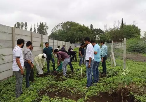 parason group tree plantation